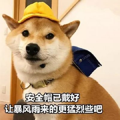 单身狗头像搞笑带字图片