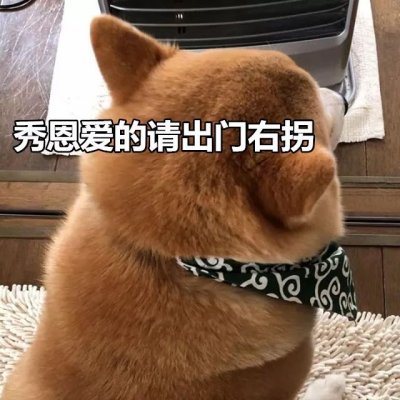 单身狗头像搞笑带字图片