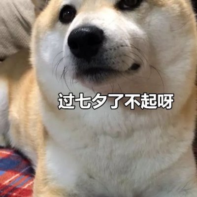 单身狗头像搞笑带字图片