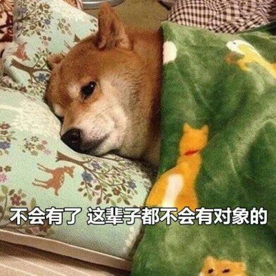 单身狗头像搞笑带字图片