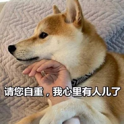 单身狗头像搞笑带字图片