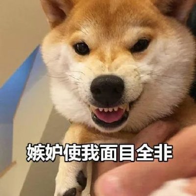 单身狗头像搞笑带字图片