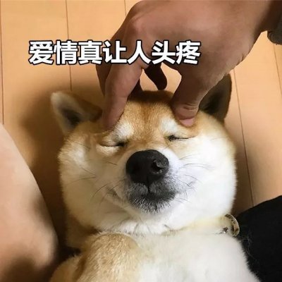 单身狗头像搞笑带字图片