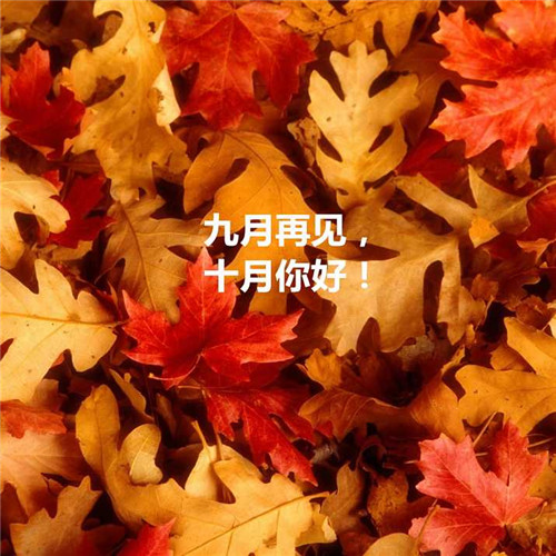 唯美风景十月你好头像图片