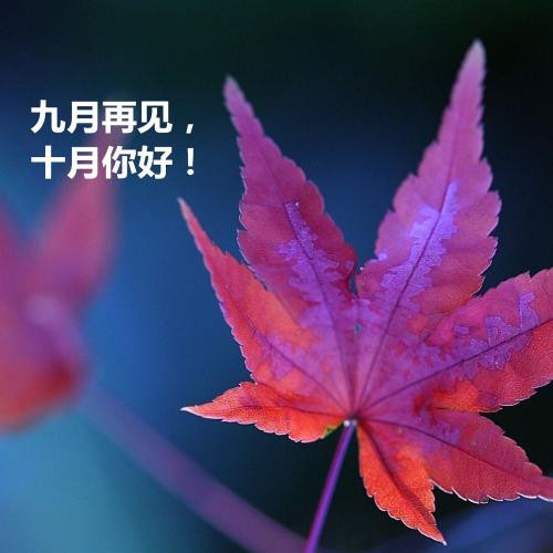 唯美风景十月你好头像图片