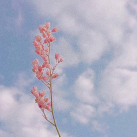 意境高清头像风景