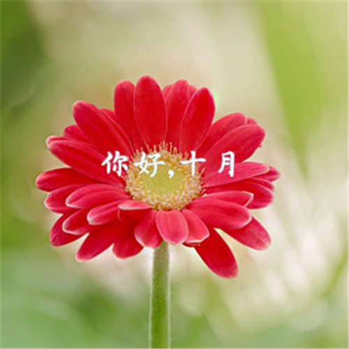 唯美风景十月你好头像图片