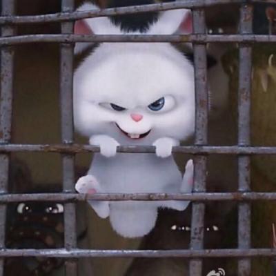 宠物大机密兔子头像图片超萌
