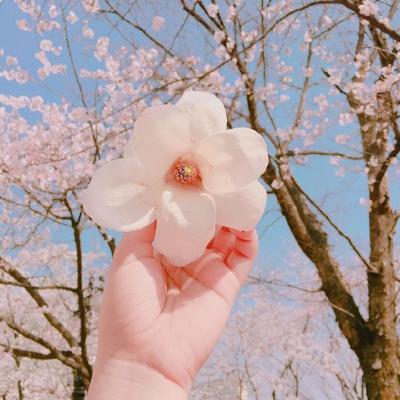 微信高清创意简单干净唯美头像