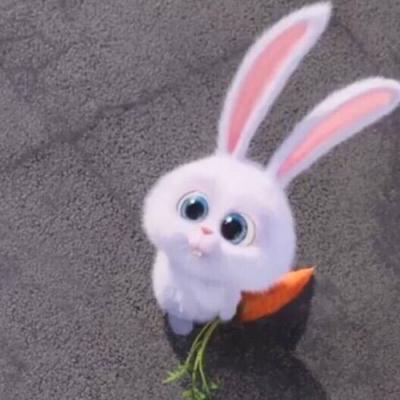 宠物大机密兔子头像图片超萌