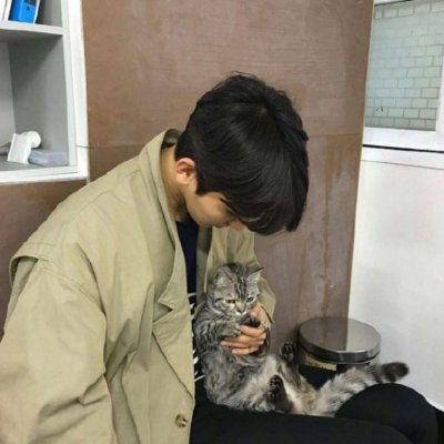 男宠物头像图片