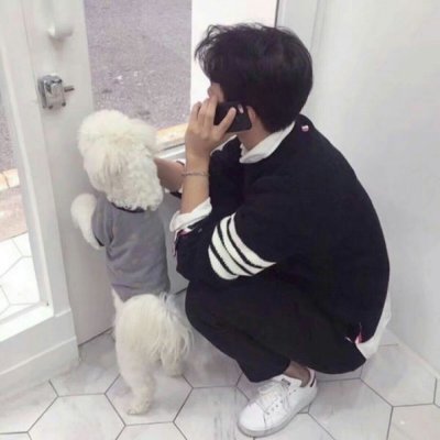 男宠物头像图片