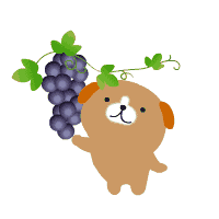 小狗头像萌萌哒动态图片