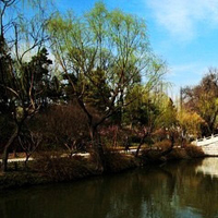 照片头像山水风景图片