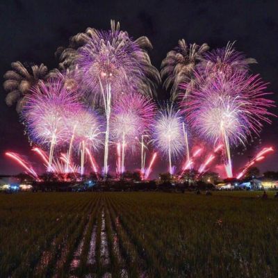 图片微信头像意境静物清新