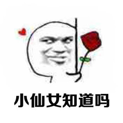 小仙女带字动漫头像图片