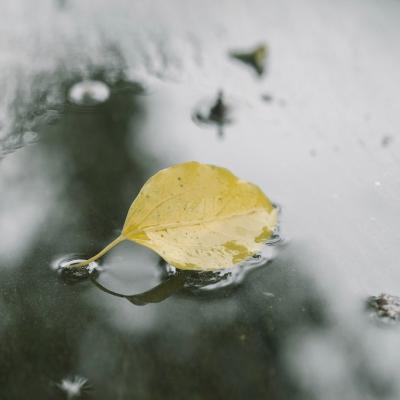 微信头像景色唯美高清图片