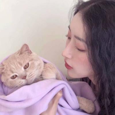 女生头像高冷御姐抱猫