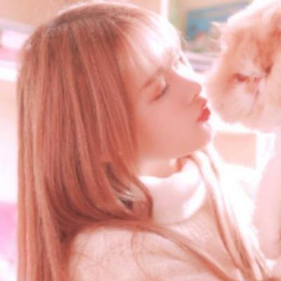 女生头像高冷御姐抱猫