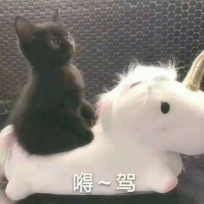 网络恶搞搞笑头像图片