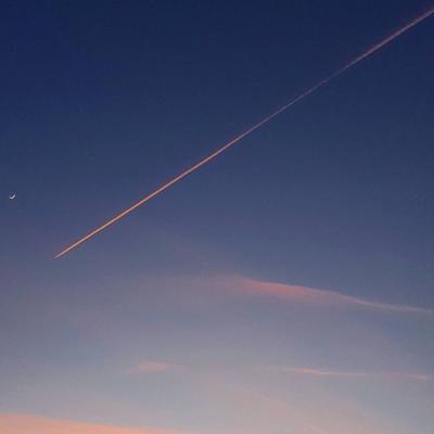 微信头像简约干净唯美风景静物图片