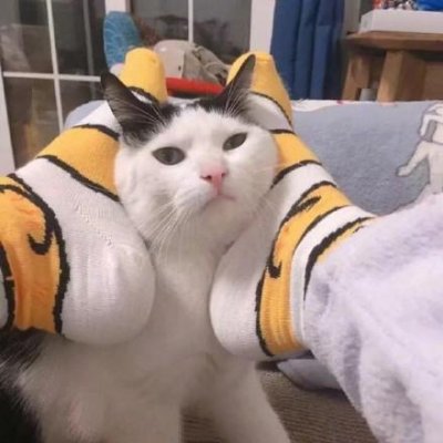 猫咪情侣头像独一无二搞笑图片