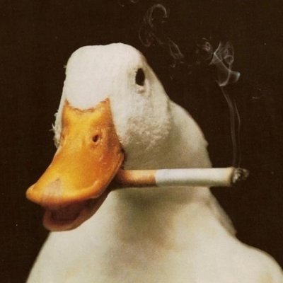 qq头像沙雕搞怪搞笑图片