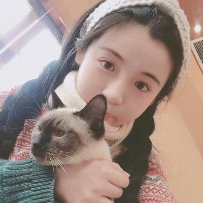 女生头像高冷御姐抱猫