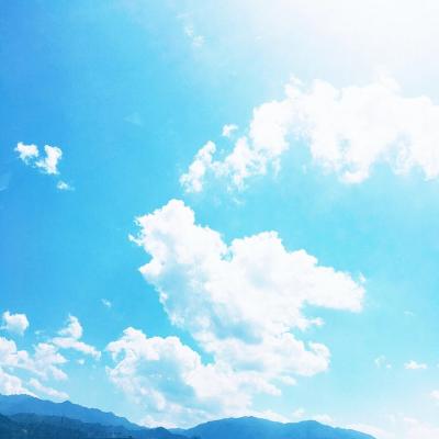 微信头像简约干净唯美风景静物图片