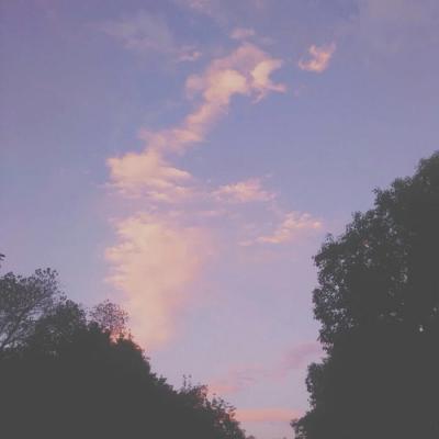 微信头像简约干净唯美风景静物图片