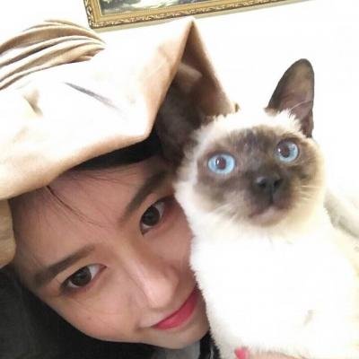 女生头像高冷御姐抱猫