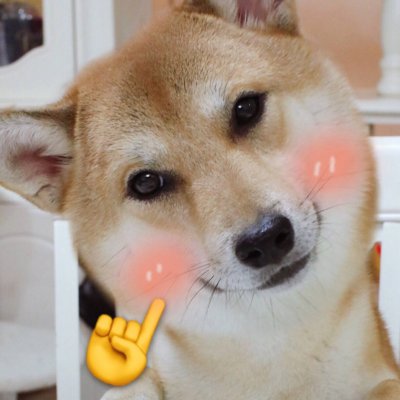 猫狗情侣头像