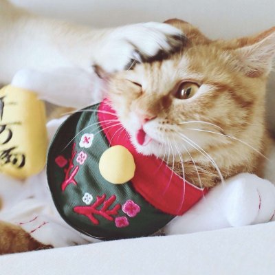 猫狗情侣头像