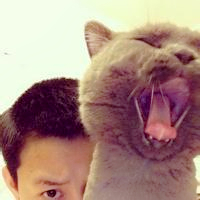 qq头像真人男女生抱猫情侣图片