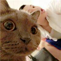 qq头像真人男女生抱猫情侣图片