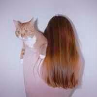 qq头像真人男女生抱猫情侣图片