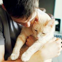 qq头像真人男女生抱猫情侣图片