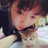 qq头像真人男女生抱猫情侣图片