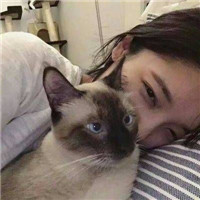 qq头像真人男女生抱猫情侣图片