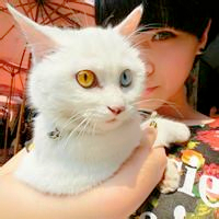 qq头像真人男女生抱猫情侣图片