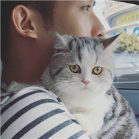 qq头像真人男女生抱猫情侣图片