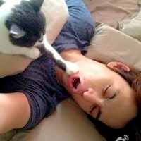 qq头像真人男女生抱猫情侣图片