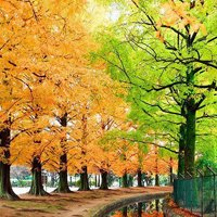美丽秋天风景微信头像