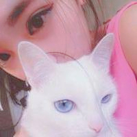 qq头像真人男女生抱猫情侣图片