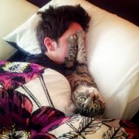 qq头像真人男女生抱猫情侣图片