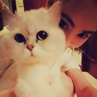qq头像真人男女生抱猫情侣图片