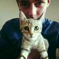 抱猫情侣头像一男一女图片