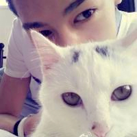 qq头像真人男女生抱猫情侣图片