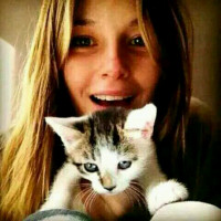 抱猫情侣头像一男一女图片