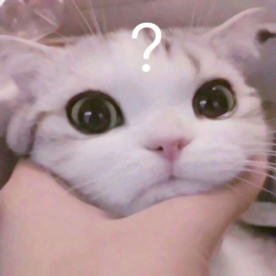 萌宠头像可爱微信
